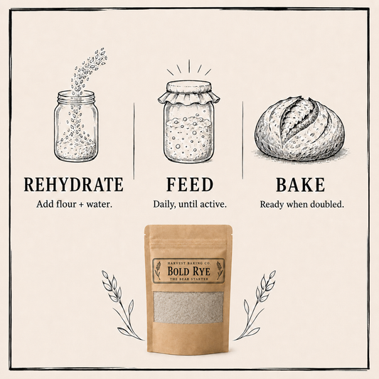 The Bear Starter | Bold Rye Sourdough