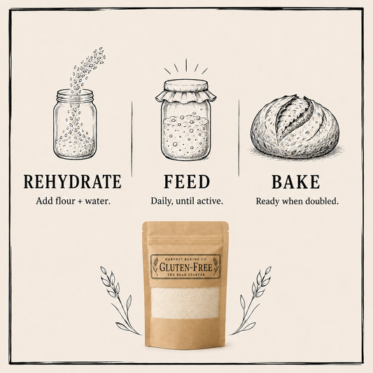 Gluten-Free Sourdough Starter – Whole Grain Wild Culture for Bread & Beyond