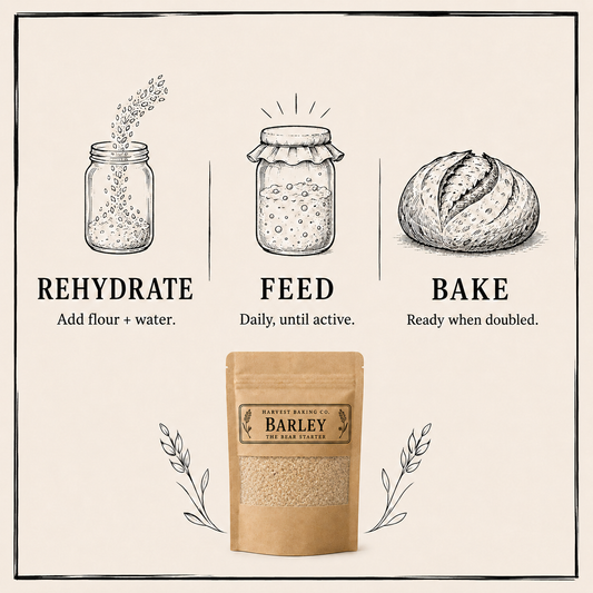 Barley Sourdough Starter – The Mellow One | Malty & Smooth