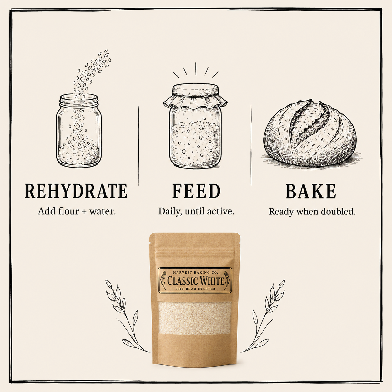The Bear Starter | Classic White Sourdough