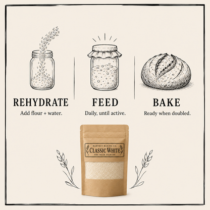 The Bear Starter | Classic White Sourdough