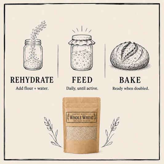 The Bear Starter | Hearty Whole Wheat Sourdough