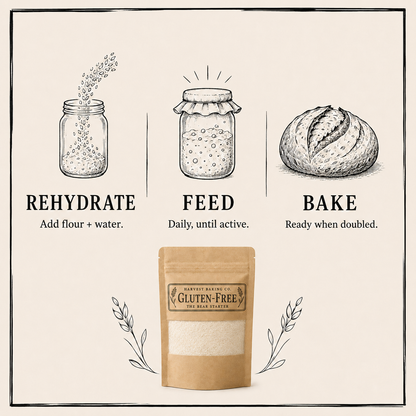 Gluten-Free Sourdough Starter – Whole Grain Wild Culture for Bread & Beyond