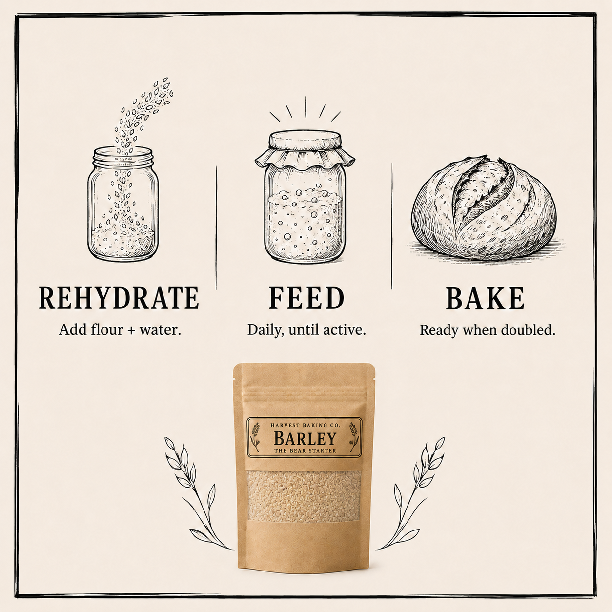 Barley Sourdough Starter – The Mellow One | Malty & Smooth