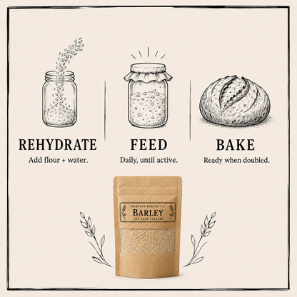 Barley Sourdough Starter – The Mellow One | Malty & Smooth