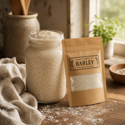 Barley Sourdough Starter – The Mellow One | Malty & Smooth