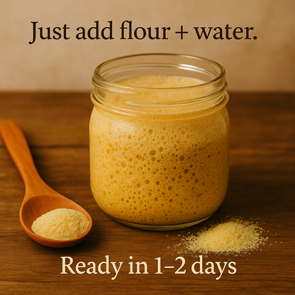 Organic Semolina Sourdough Starter – Golden, Nutty, and Artisan-Ready