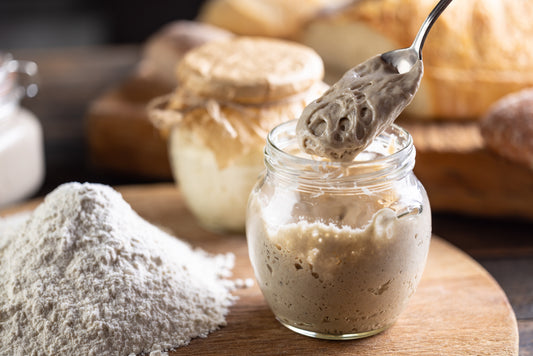 The Bear Starter | Bold Rye Sourdough